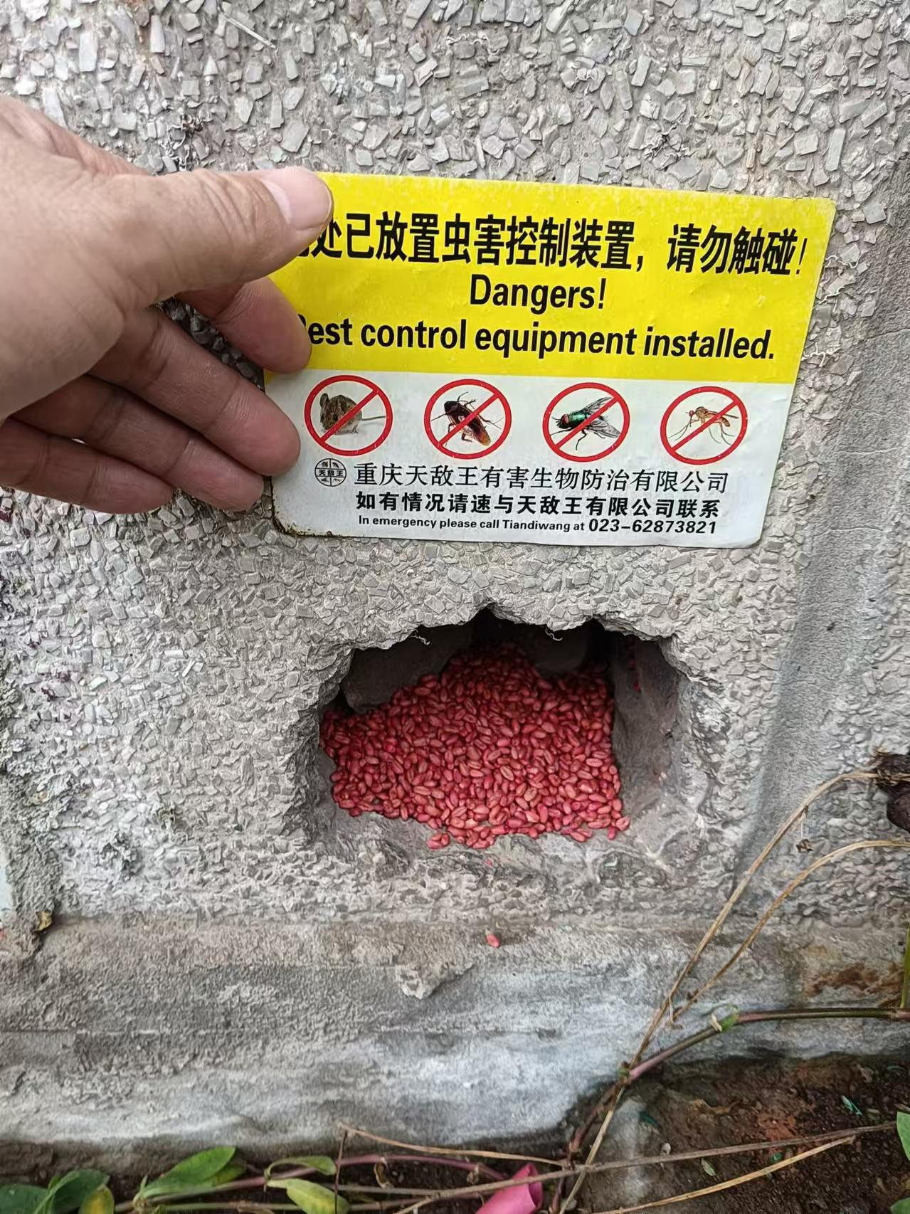 放置蟲害控制裝置案例